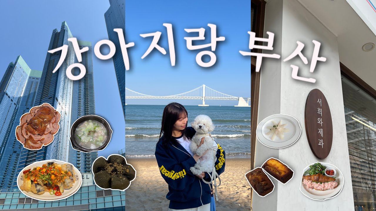 🚅서울 강아지 부산 바다를 만나다𓂃 𓂂𓏸 l 부산여행 브이로그 l 시그니엘 부산 l 애견동반 또갈집 l 인생 휘낭시에
