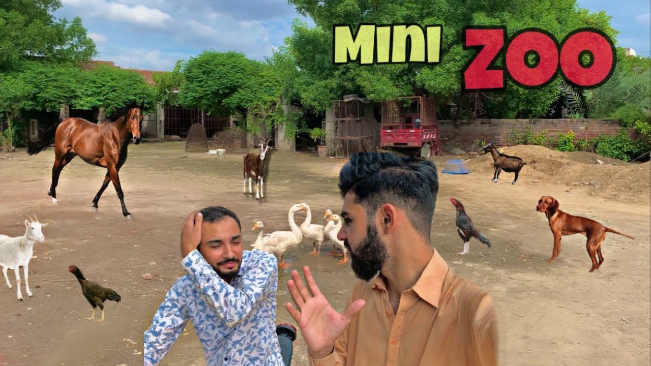 Visiting to my friends Mini Zoo || Animals || Sufyan tariq Official