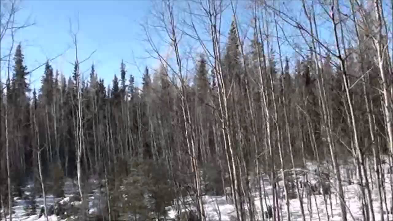 Jack Reznicek CANADA Winter 2014 Vol 01