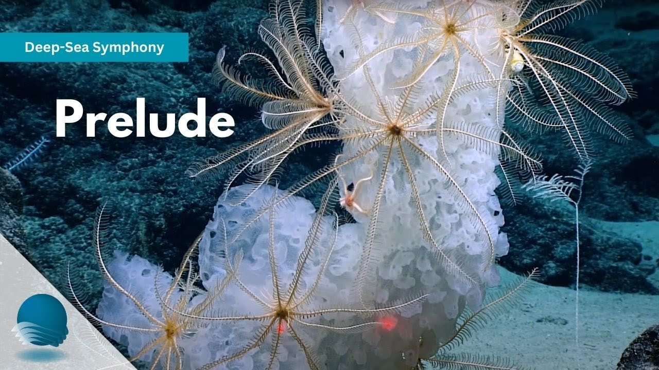 Deep-Sea Symphony: Prelude