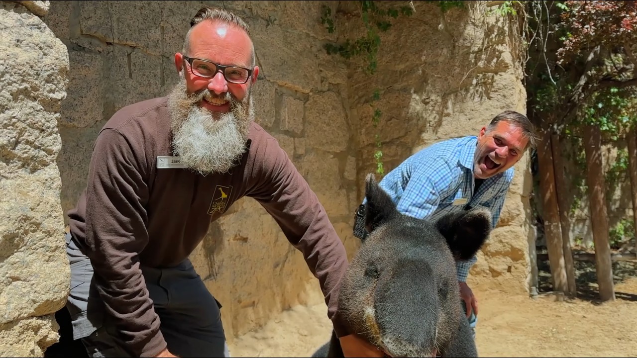 Cheyenne Mountain Zoo – The Early Years