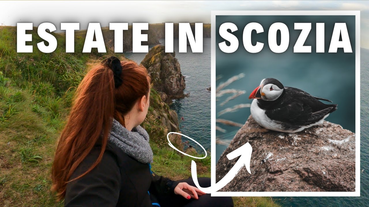 VIVERE IN SCOZIA IN ESTATE - Eventi, cornamuse, sole di mezzanotte e puffin
