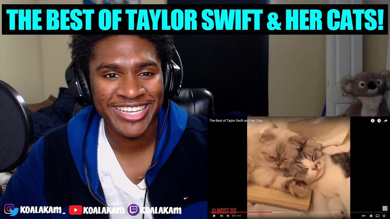 The Best of Taylor Swift and Her Cats (reaction!)