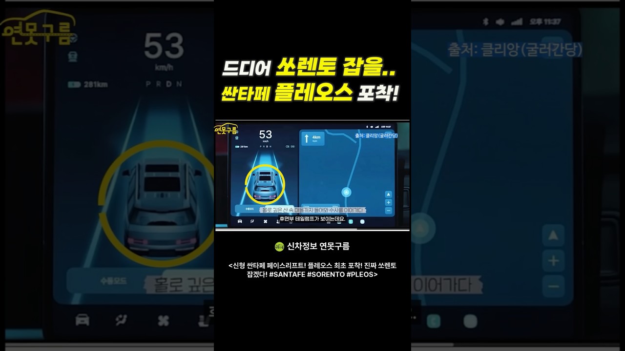 신형 싼타페 페이스리프트 핵심! 플레오스 최초 포착! 쏘렌토 잡겠다! #SANTAFE #SORENTO #PLEOS