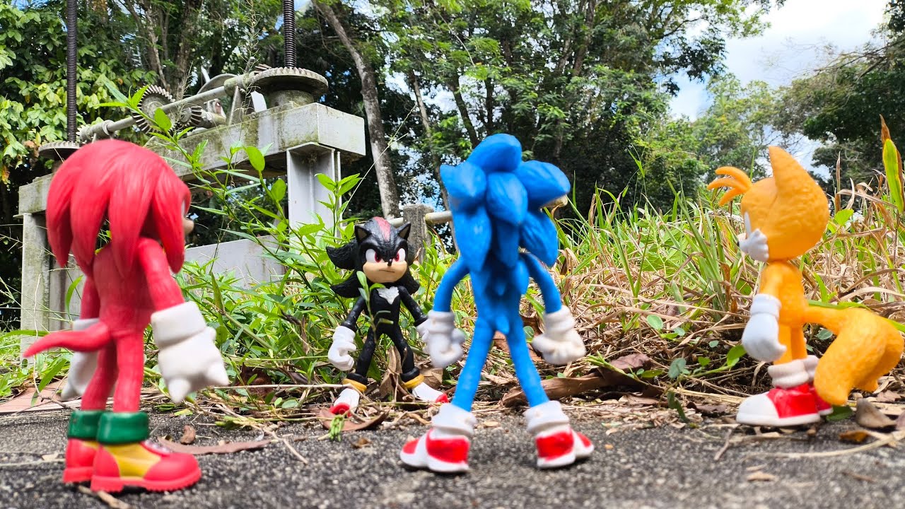Sonic Hedgehog, Sonic Shadow, Knuckles, Tails, Metal Sonic, Super Sonic, Metal Sonic, Super Shadow