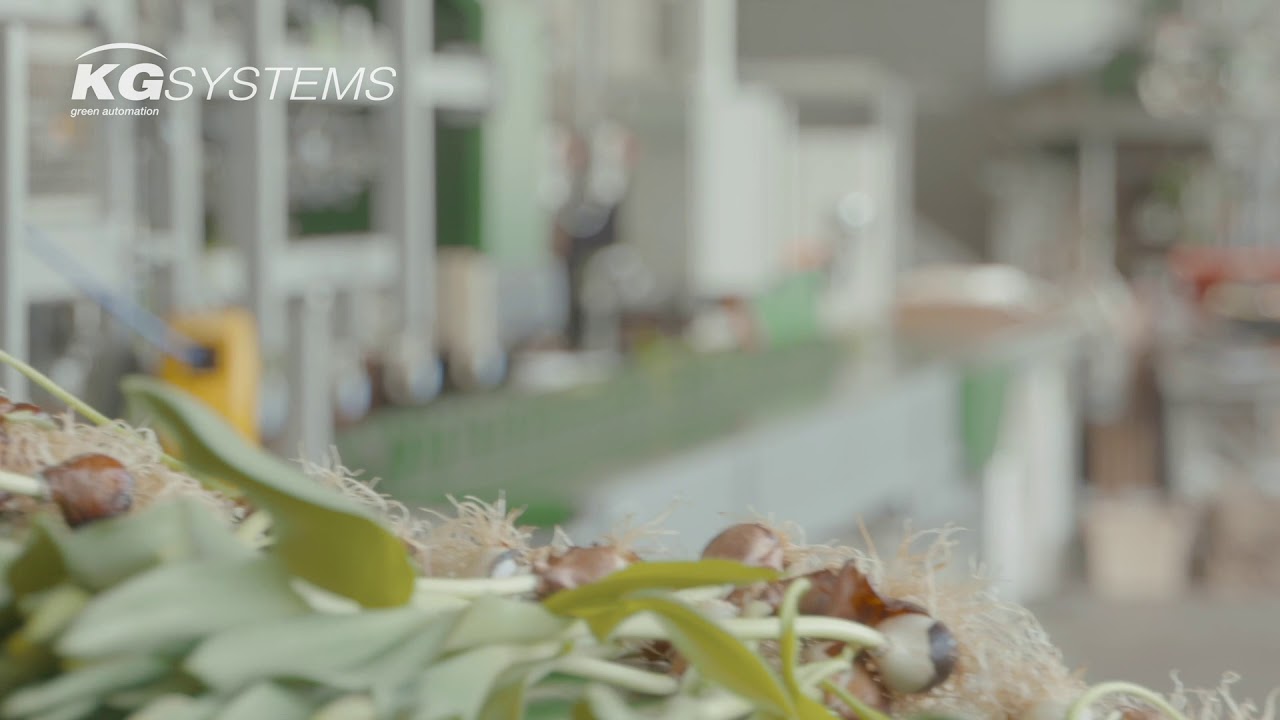 KG Systems  - Green Automation 2019