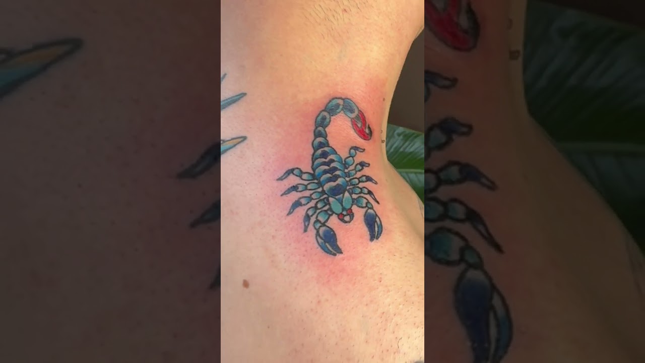 Check out this amazing trad style scorpion...