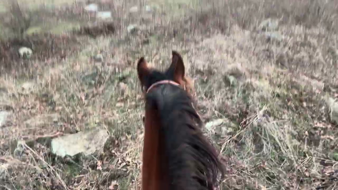 1st head mounted camera video outside while riding Rooster