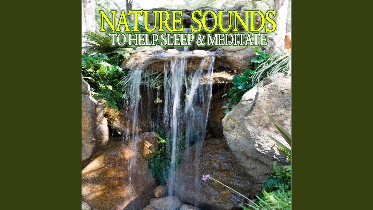 Tropical Night