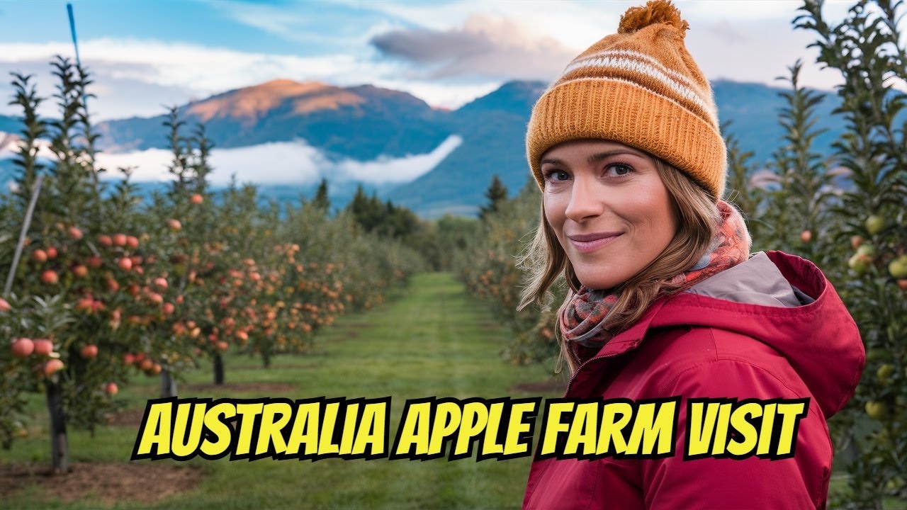 Exploring Stanthorpe During Apple Harvest Season | Australia Apple Farm Visit Vlog | Tamil Vlog🍏🌿