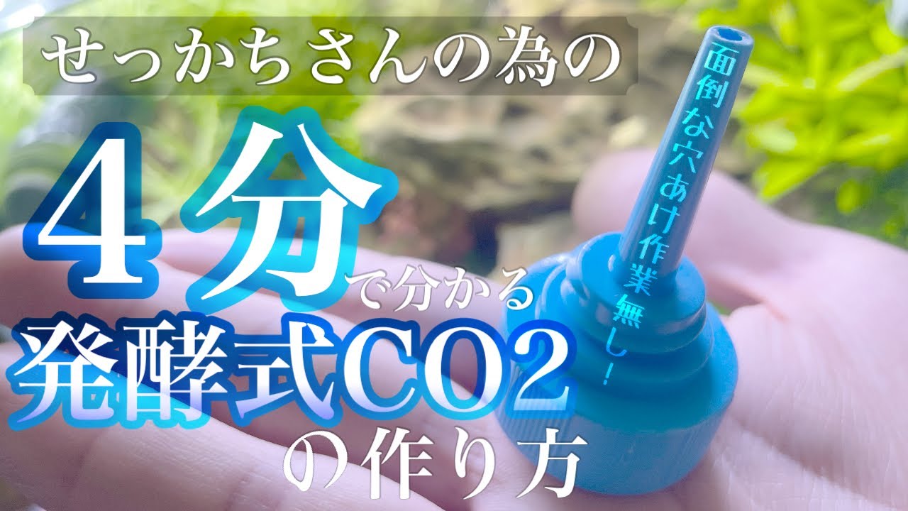 【水草水槽】せっかちさんの為の自作発酵式CO2 作り方 500ml 【アクアリウム】