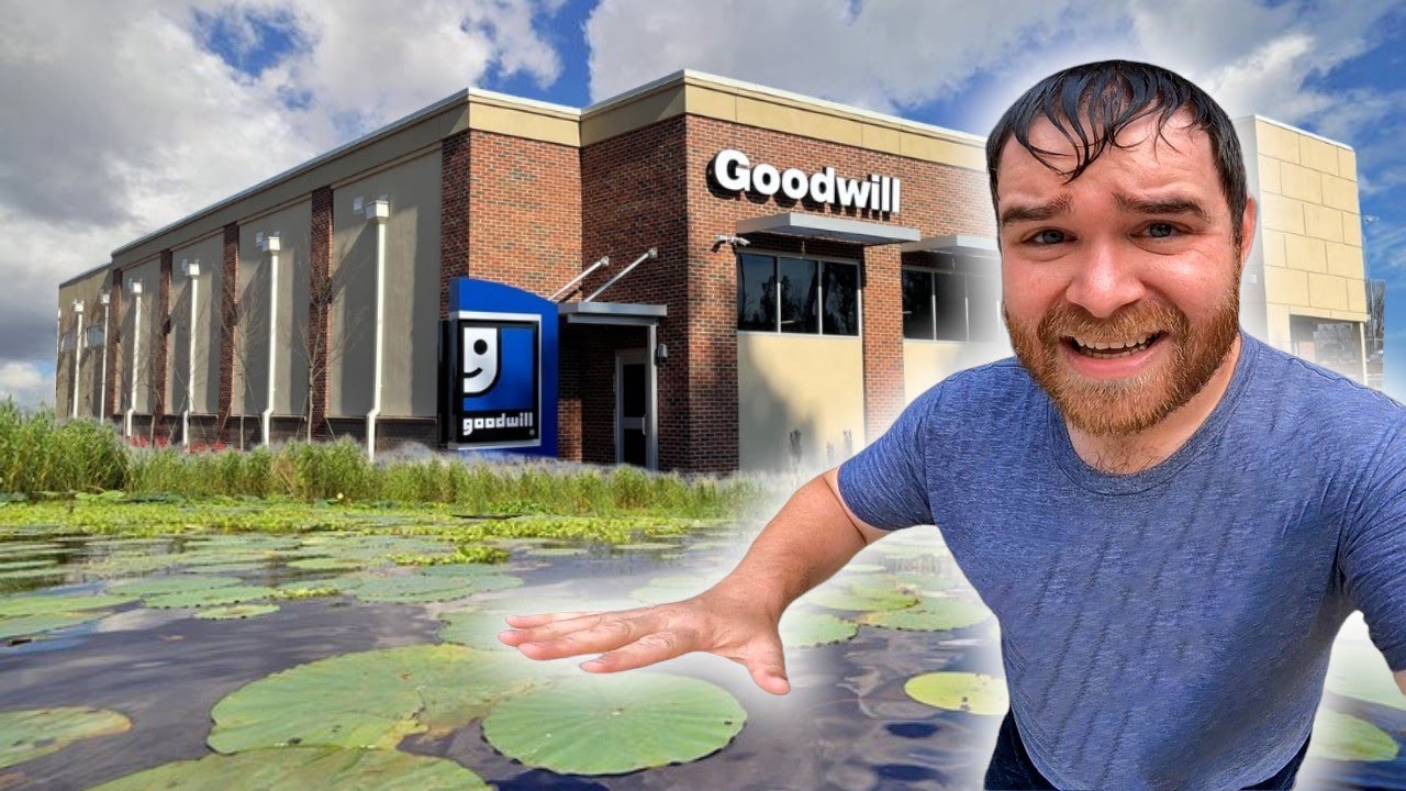 Goodwill или Lake...Кто из них принесет больше прибыли?