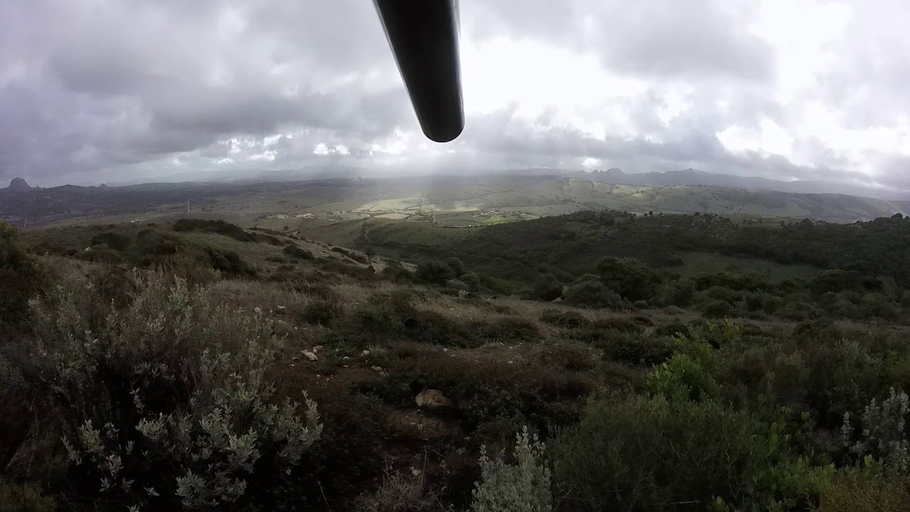 Caccia al cinghiale in Sardegna (Aggius)