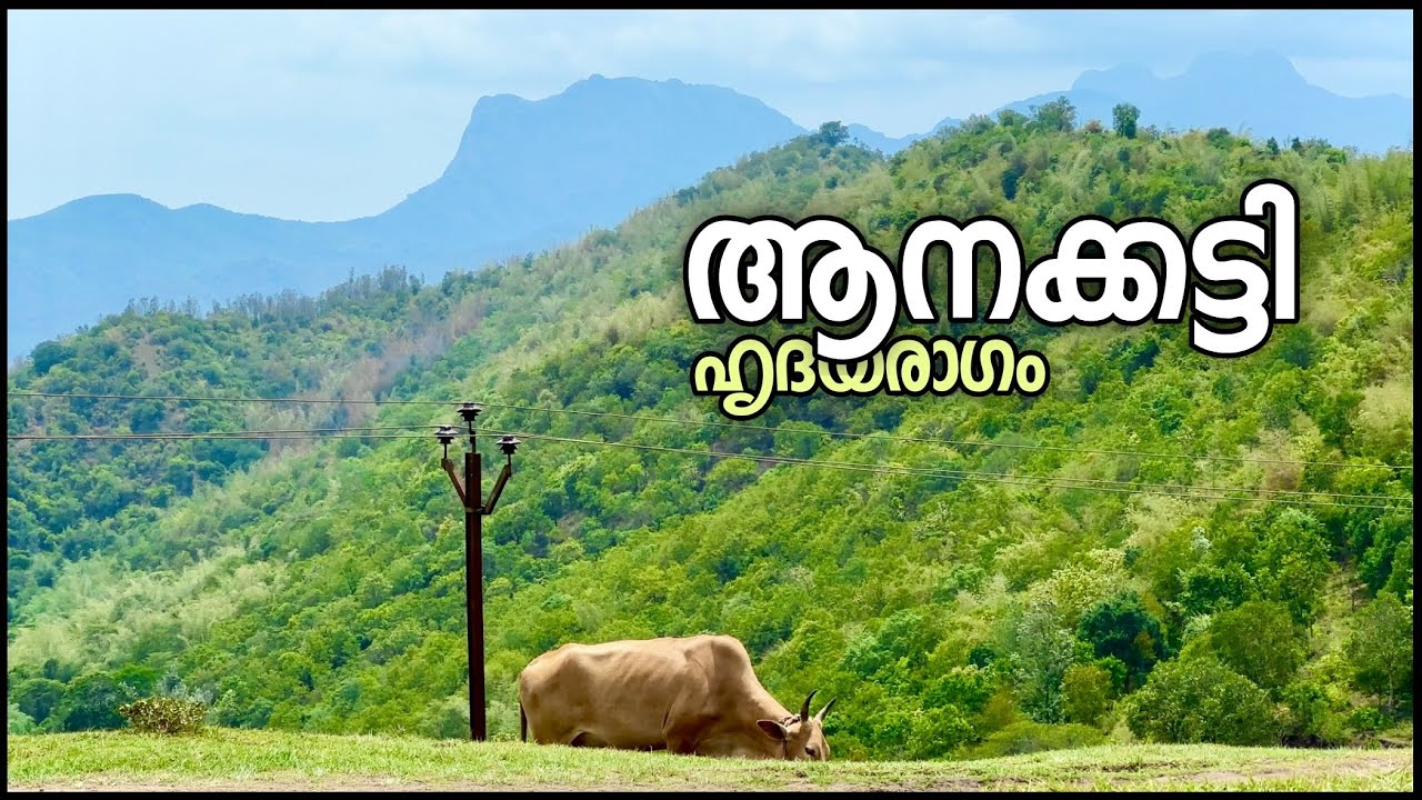 ആനക്കട്ടിയിൽ അലിഞ്ഞുചേരാം | Nirvana Holistic Living & Kaivalya Enterprises Anaikatti