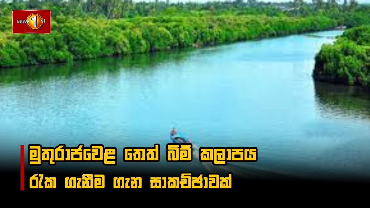 මුතුරාජවෙළ තෙත් බිම් කලාපය රැක ගැනීම ගැන සාකච්ඡාවක්