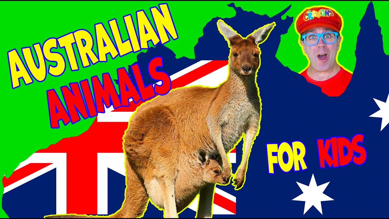 Australian Animals with Matty Crayon