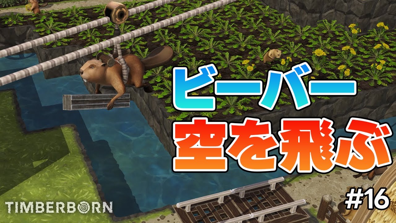 【Timberborn】#16 ビーバー、空を飛ぶ！高速移動ジップラインで悪潮克服の大工事！【ティンバーボーン】