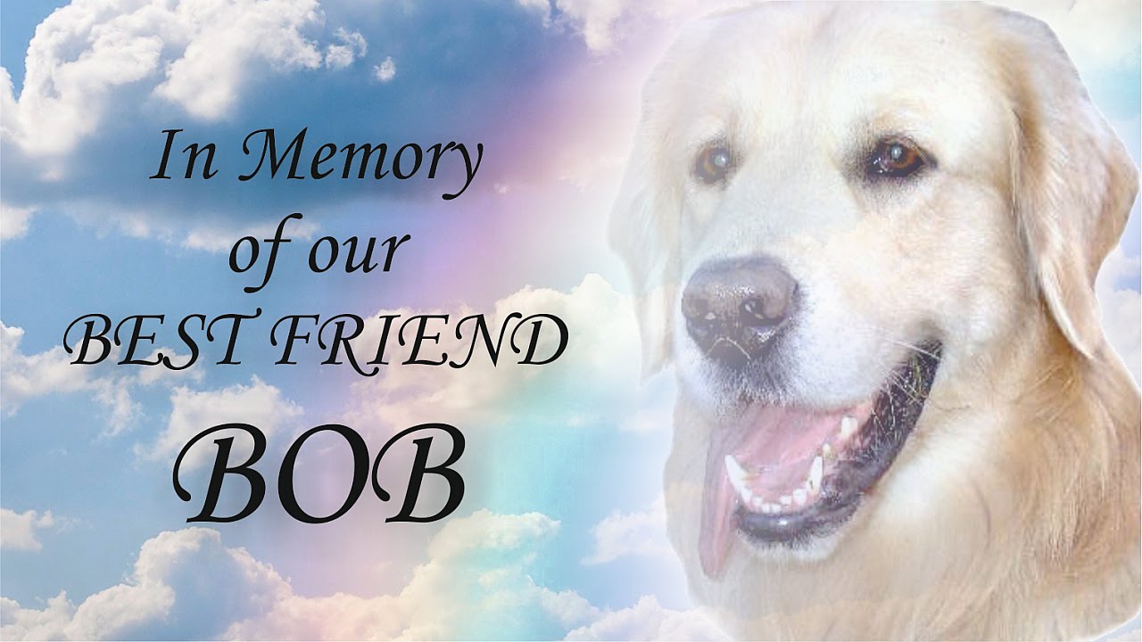 In Gedenken an unseren geliebten Golden Retriever Bob