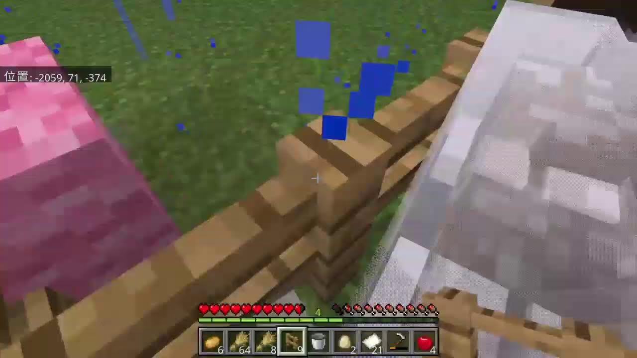 マイクラ配信今日の目標畑つくる