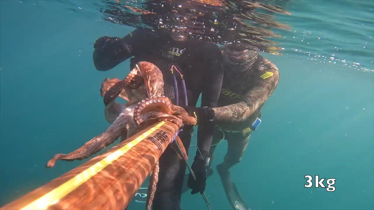 Και πάλι στα θολά μεν τον Θοδωρή... Again in murky waters with Theodore...