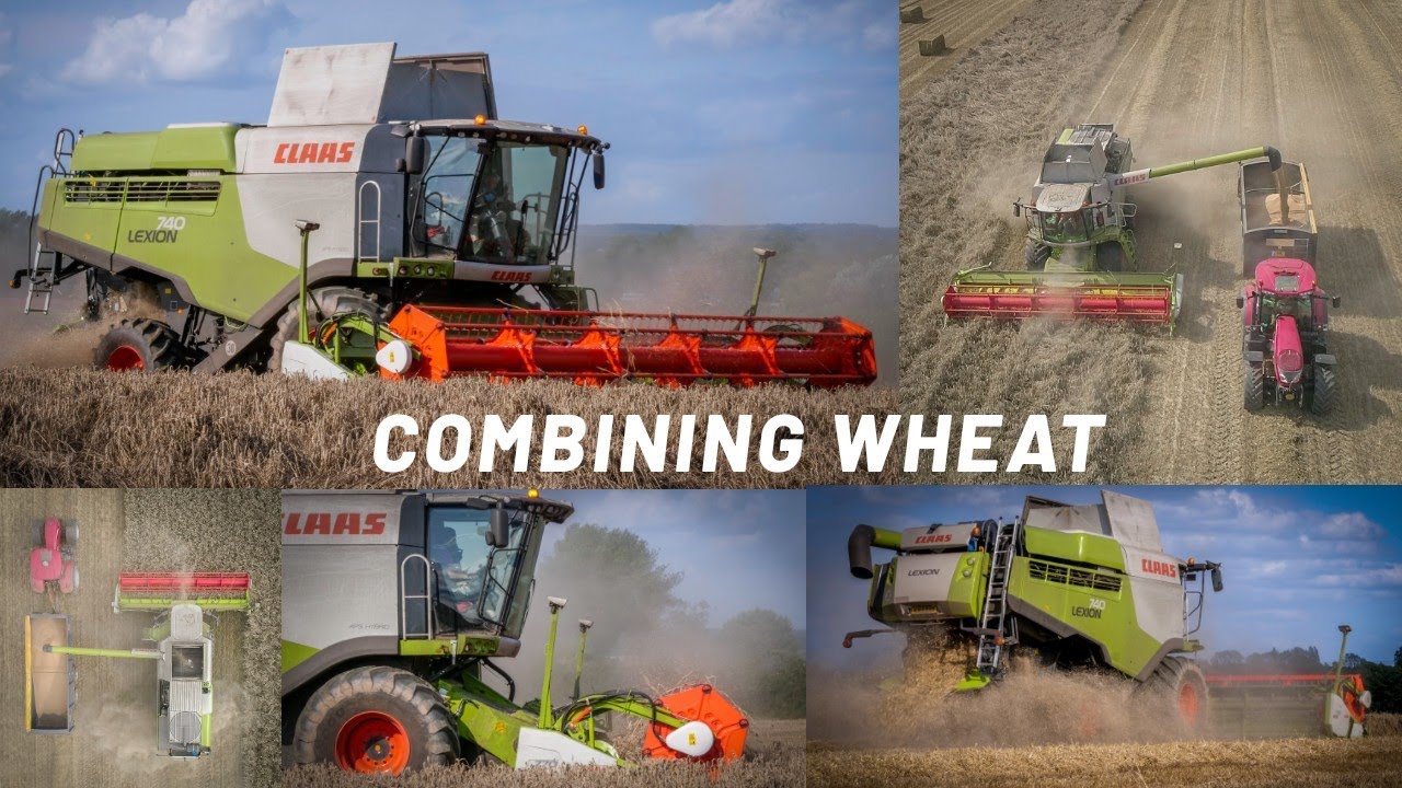 Claas Lexion 740 Harvesting Wheat - Summer 2019