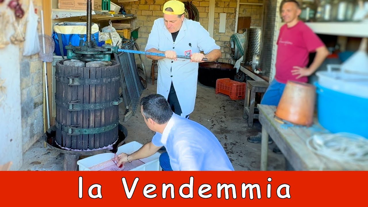 La vendemmia