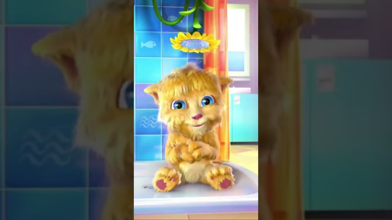 Ginger Cat Shower Time 🤪🤪🤣😂 #shorts #funny
