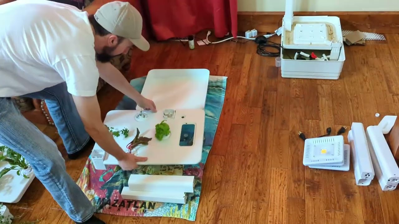 Eden Tower: Cleaning the System with Plants Growing