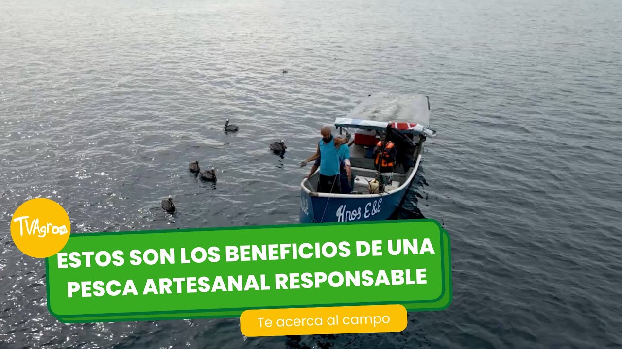 Estos son los beneficios de una pesca artesanal responsable - TvAgro por Juan Gonzalo Angel Restrepo