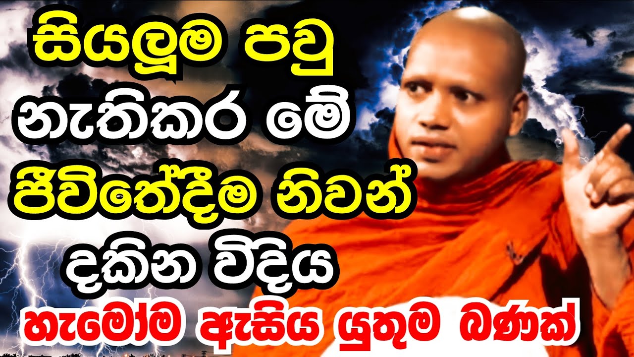 සියලුම පවු නැතිකර මේ ජීවිතයේදීම නිවන් දකින විදිය  | Ven hasalaka seelawimala thero bana 2025