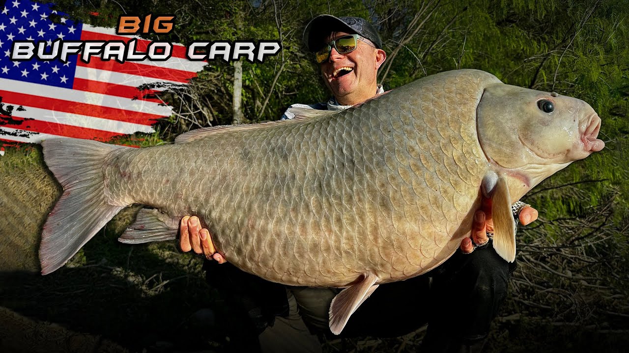 D&ouml;me G&aacute;bor - A nagy Buffalo Carp - 3. epiz&oacute;d + a meglepet&eacute;shal