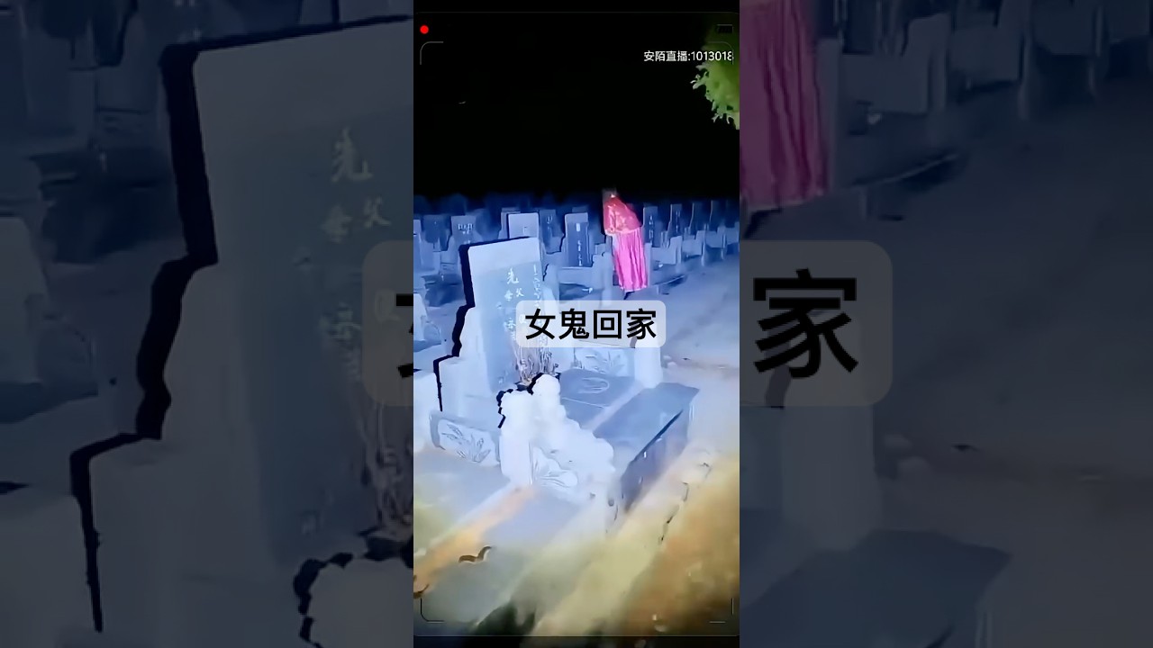 直播拍到女鬼回家？探險王墓地探險驚魂一刻！靈異播報員｜#靈異 #horror #ghost #靈異事件 #靈異影片