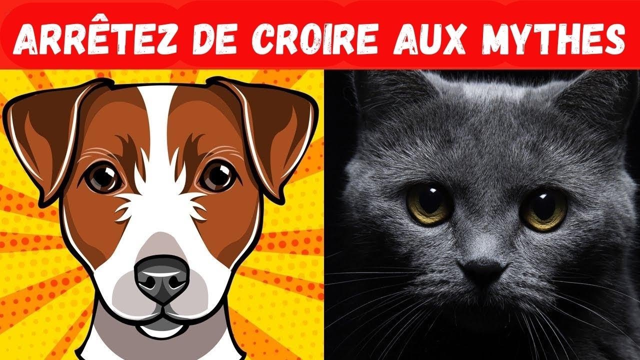 24 Mythes sur les Animaux auxquels vous devriez CESSER de croire