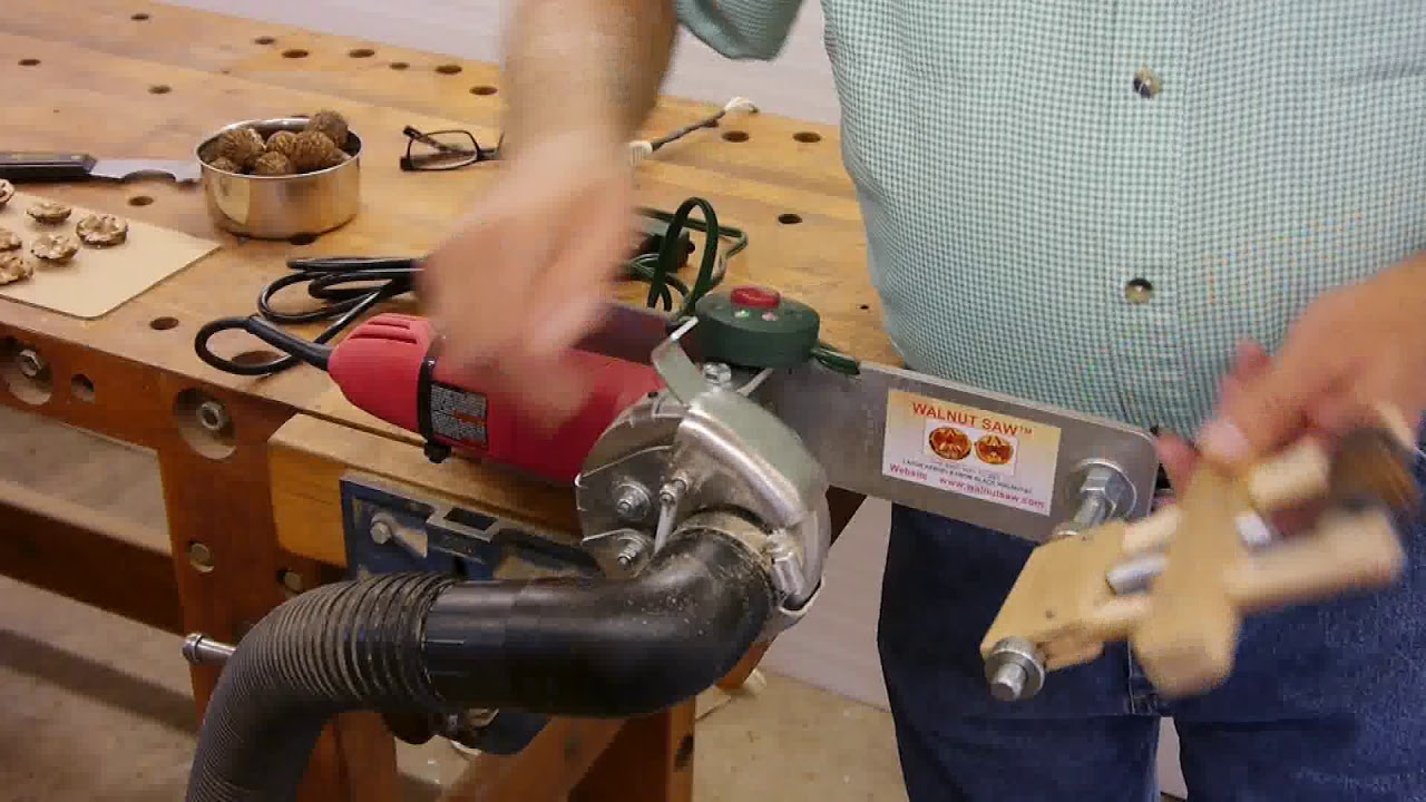 Cracking Black Walnuts with the WALNUT SAW™ August 2019