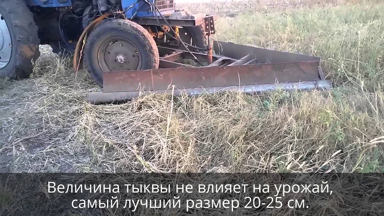 Ч 1 Уборка тыквы (гарбуза) подгортание тыквы Харьков. Combine pumpkin