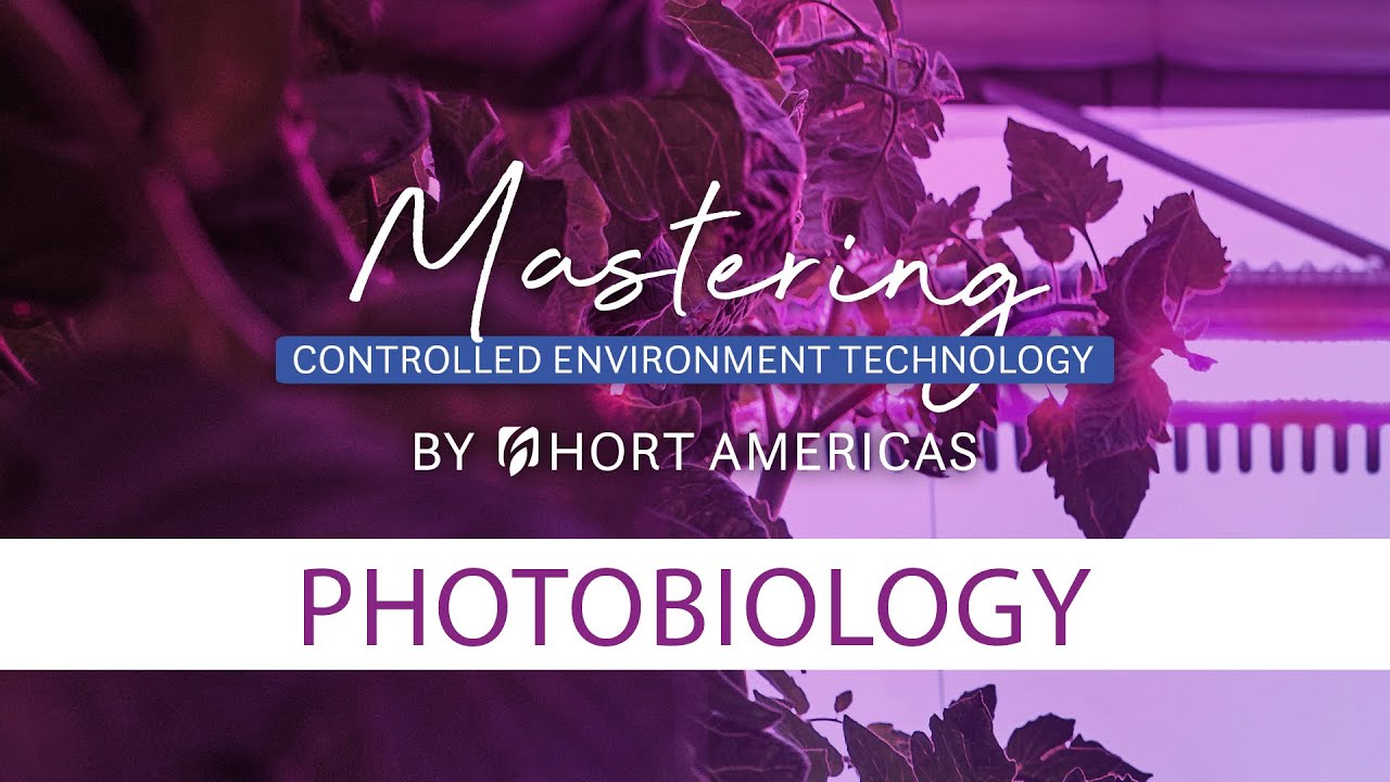 Mastering Photobiology | Plant processes affected by light