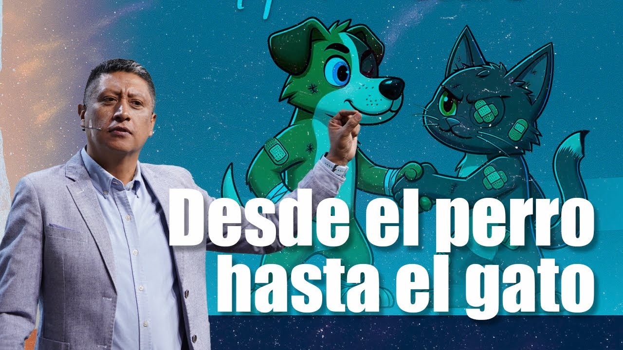 Desde el perro hasta el gato