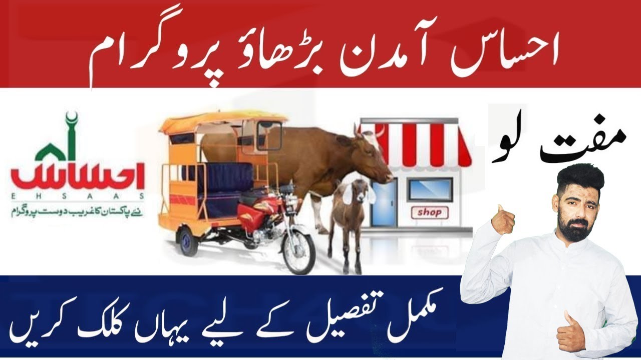 Ehsaas Amdan Barahao Program 2020 | Govt Grant | Small Business Grants | Free Cow Rikshaha