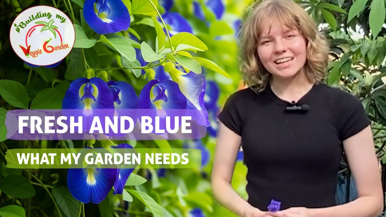 Fresh and Blue