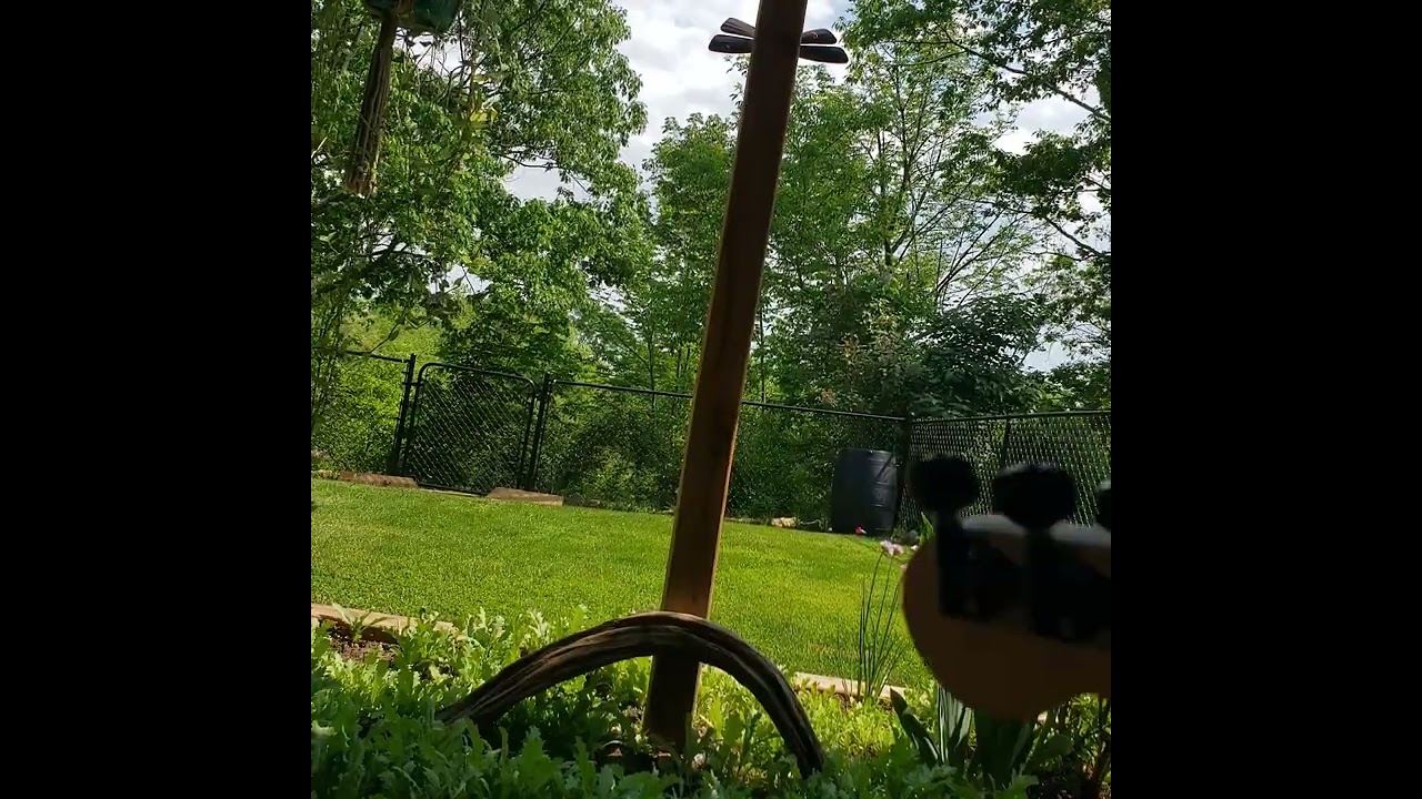 Earthquaker Devices Dispatch Master Demo and Love! Tunes From RiFF