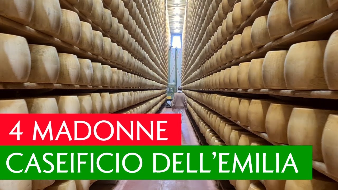 PARMIGIANO REGGIANO • Tour all'interno del Caseificio 4 Madonne
