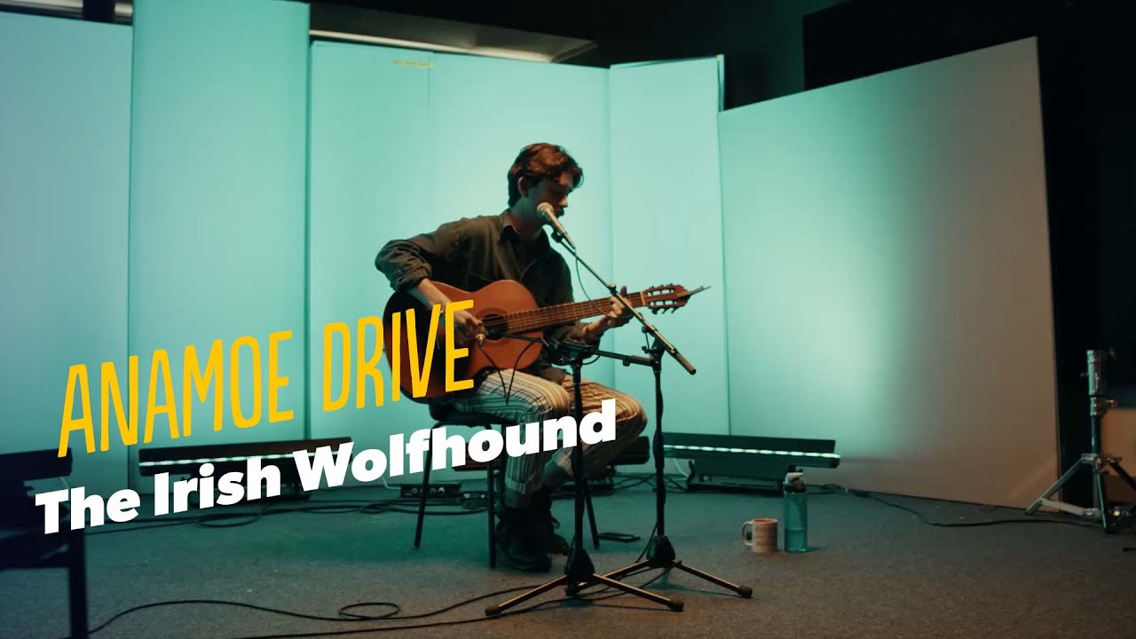 Anamoe Drive 'The Irish Wolfhound' &ndash; Today FM Live Session