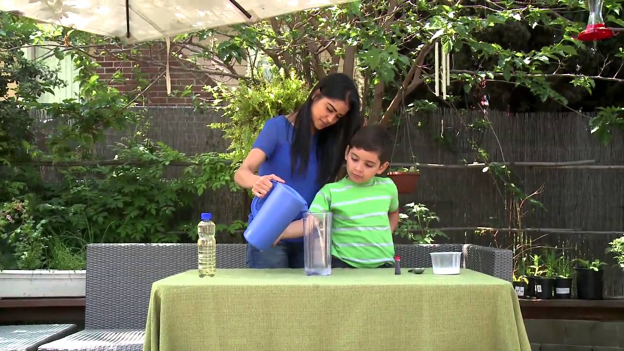 Fun Science Activity for Kids: Making a Lava Lamp