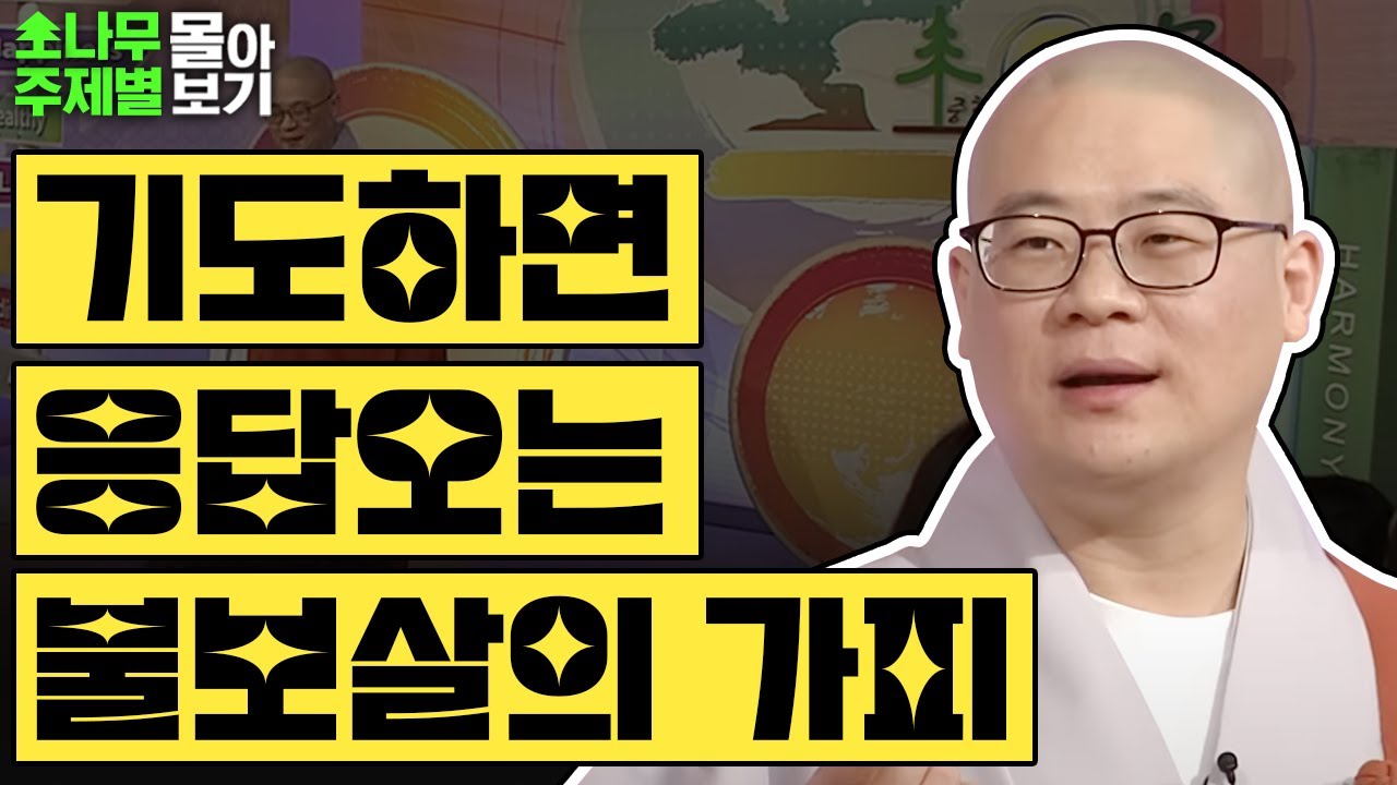 기도하면 응답오는 불보살의 가피 TOP3 ✨  [광우스님 소나무 주제별 몰아보기]