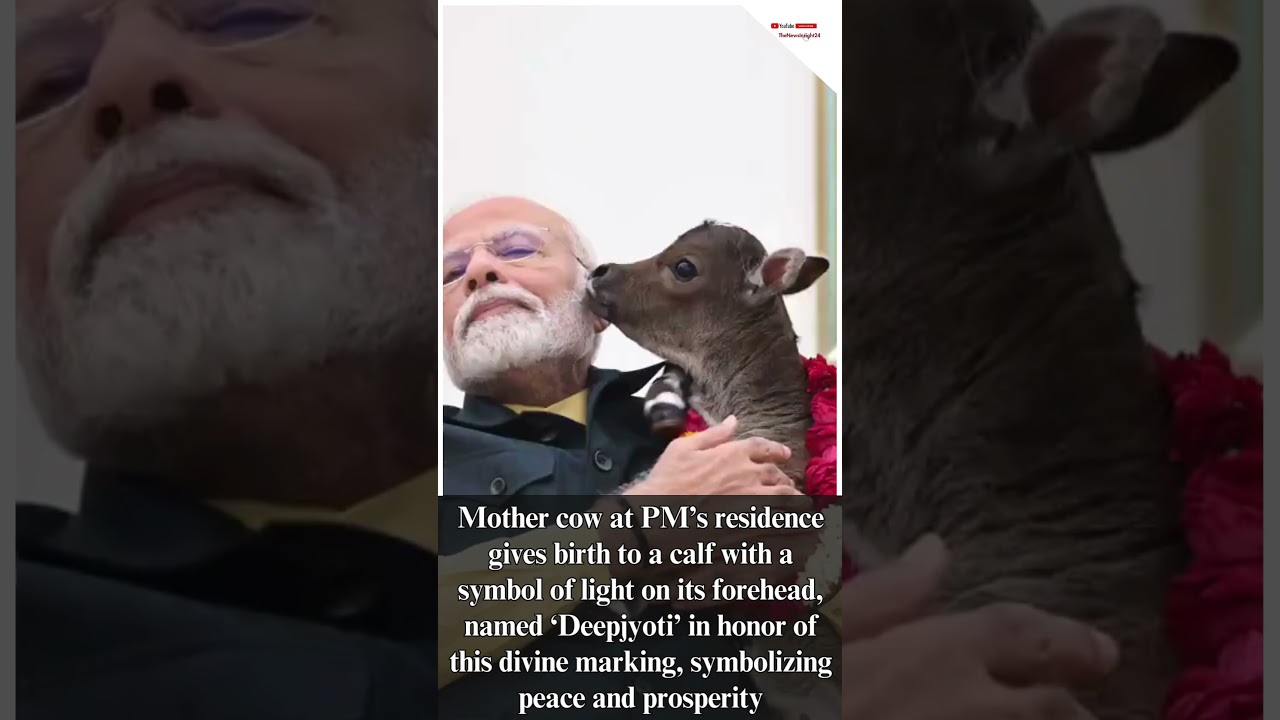🔴PM Modi Welcomes New Calf ‘Deepjyoti’