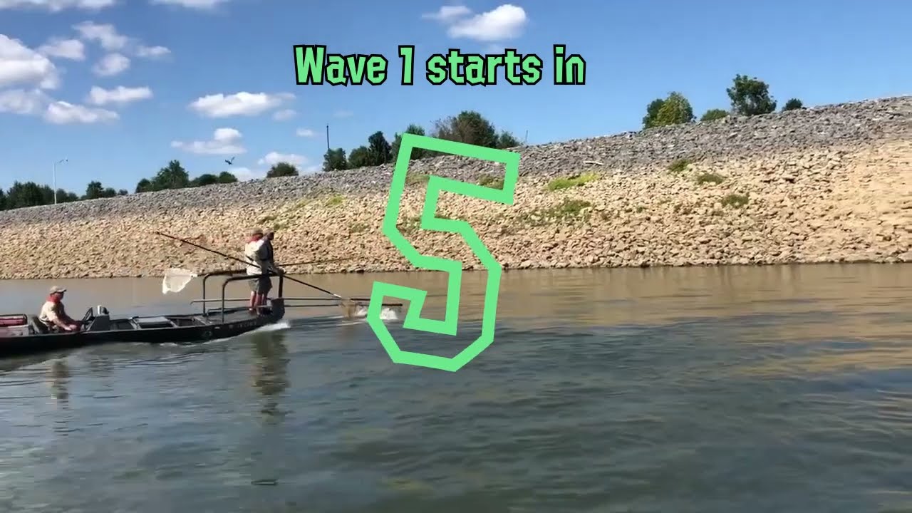 Salmon Run IRL