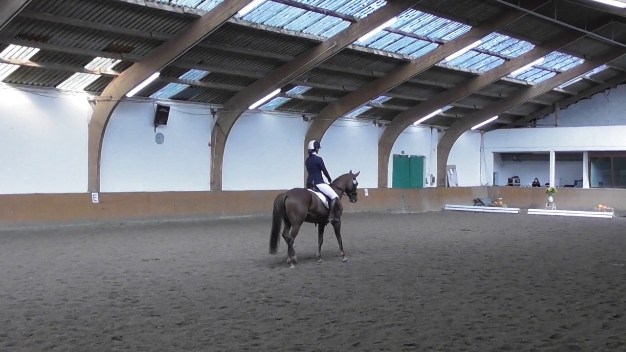 Ungerecht behandelt? Unsere L-Dressur  (L3) // #rinisreiterei