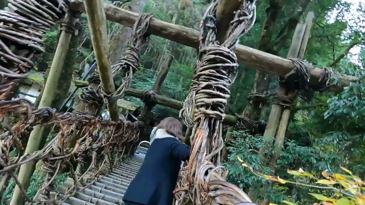 Iya Valley Vine Bridge (Kazurabashi)