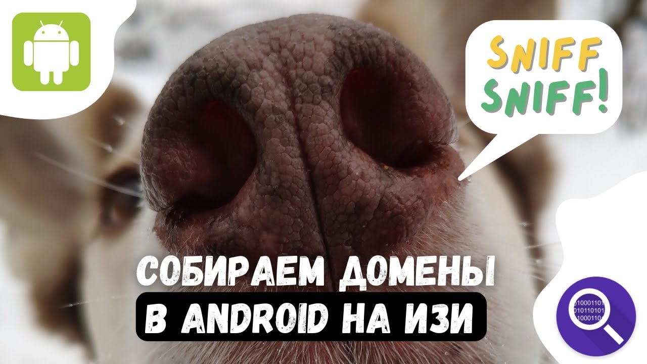 Узнаём домены, к которым обращаются приложения в Android с помощью PCAPdroid
