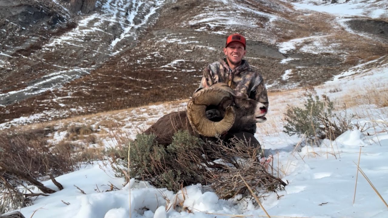 Bighorn Sheep Hunt (Sportsman's Tag) Mount Timpanogos Wasatch Range, 2024 Utah